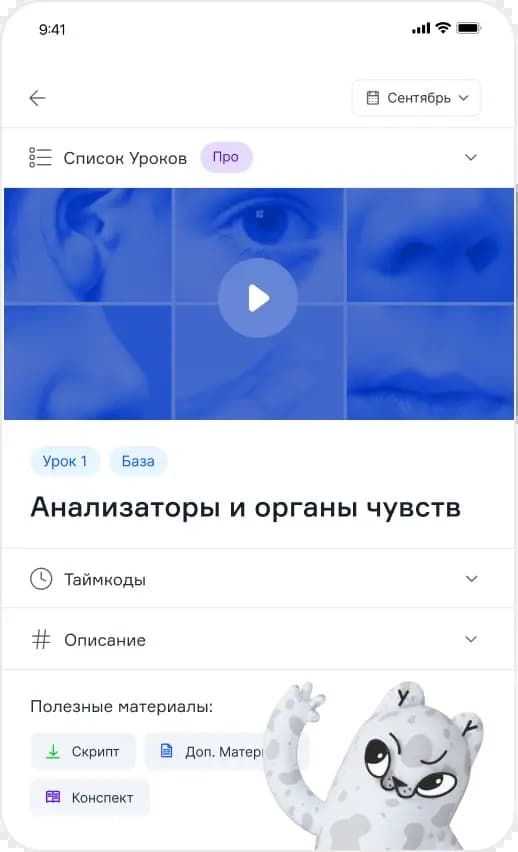 info pictures