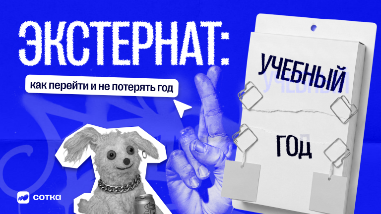 Экстернат и семейное обучение: как перейти и не потерять учебный год